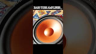BASS TUBE AMPLIFIER 🎵🔈 #shorts #viralvideo #tranding
