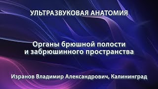 Изранов В.А. - Ультразвуковая анатомия органов брюшной полости и забрюшинного пространства