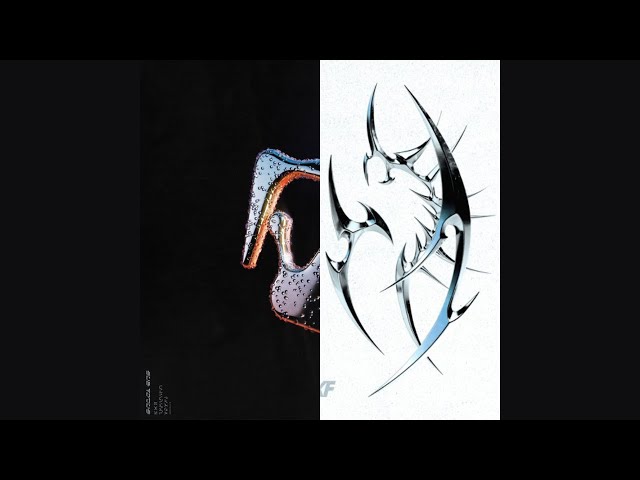 Sub Focus - Original Don x Kanine - Feel The Vibration (Cayo Mashup)