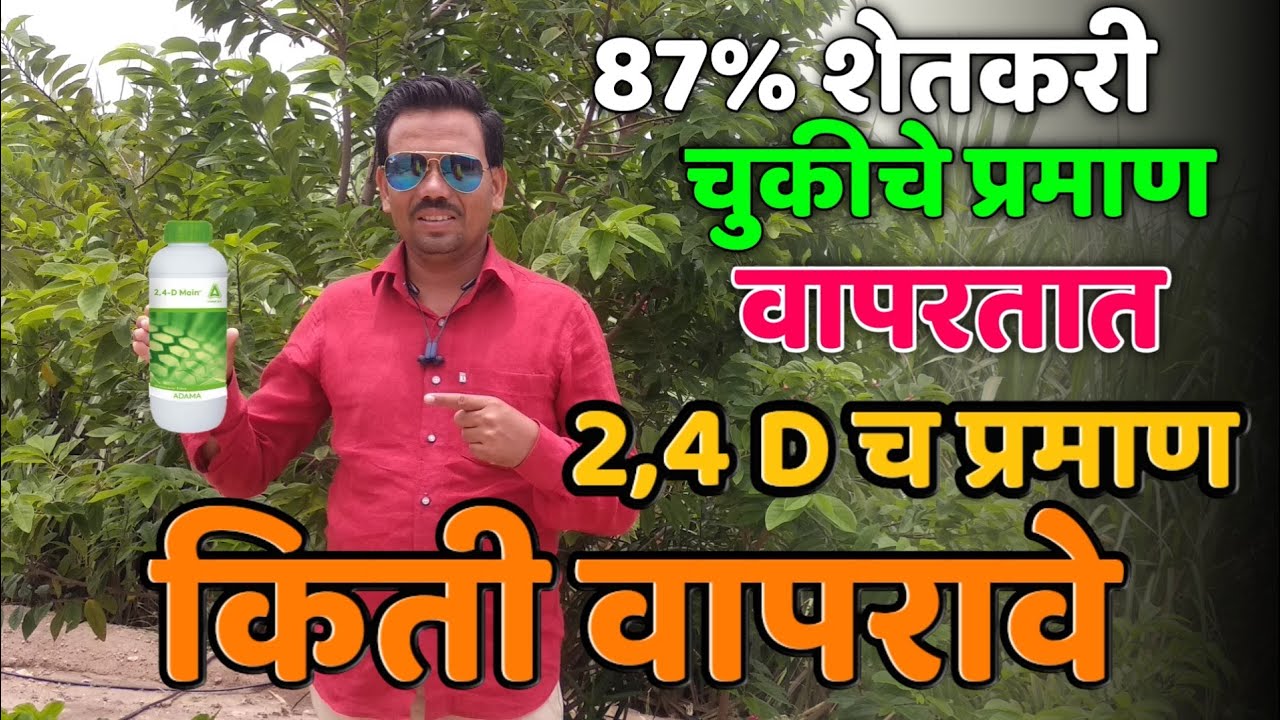 2,4D चे प्रमाण किती वापरावे,87 टक्के शेतकरी चुकीचे प्रमाण वापरतात, dimethyl amine salt 58%
