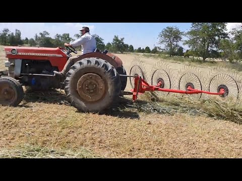 Video: Saman yapmak için traktör tırmıkları