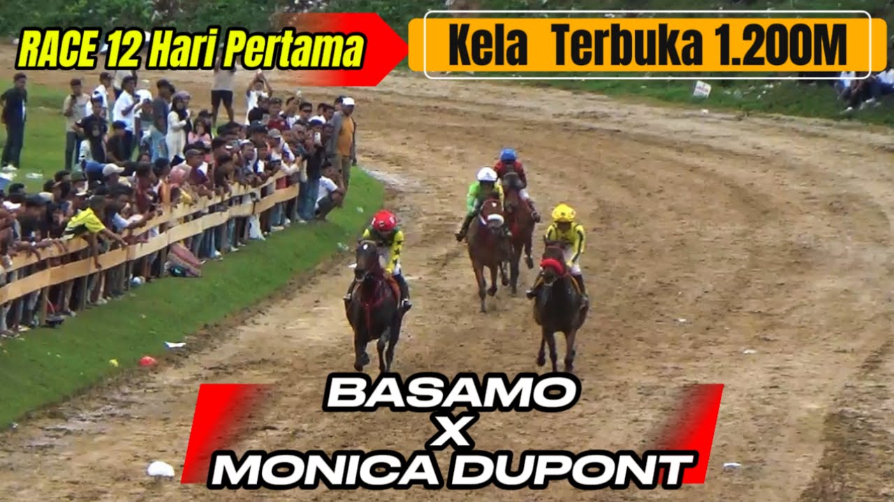 Kelas TERBUKA 1.200M 