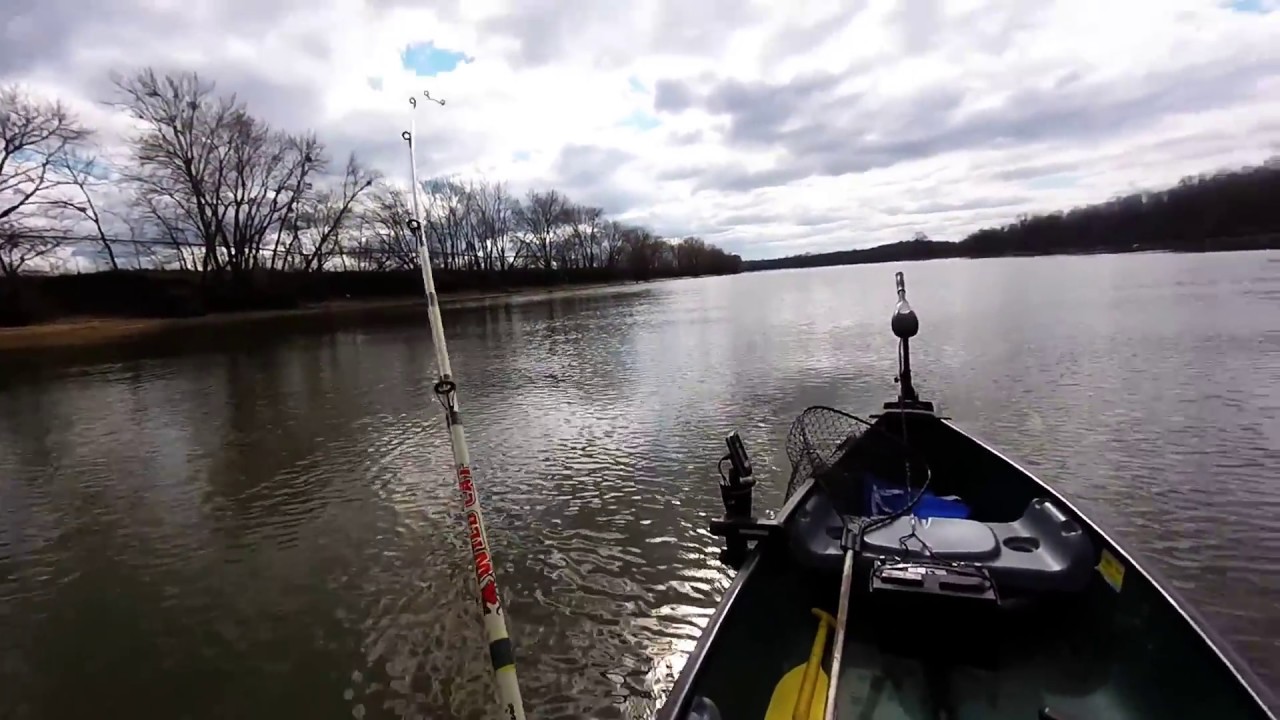 Cumberland river catfishing YouTube