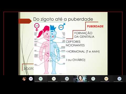 Vídeo: Modelos Atuais De Atendimento A Distúrbios Do Desenvolvimento Sexual - Resultados De Uma Pesquisa Internacional De Centros Especializados