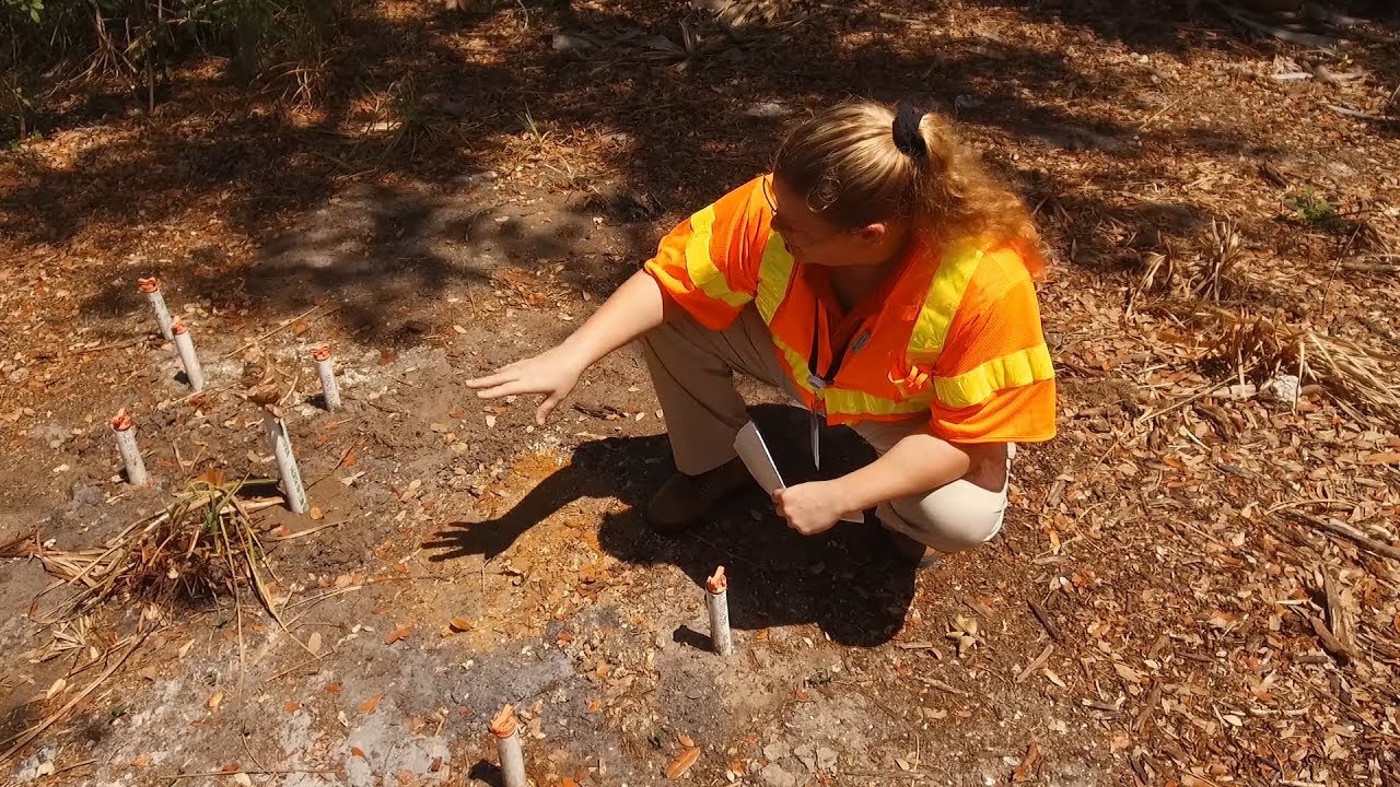 charlotte-county-utilities-department-intern-andreia-paulino-youtube