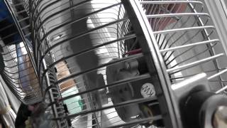 Blue Galaxy Desk Fan & Lakewood High Velocity Fan Comparison