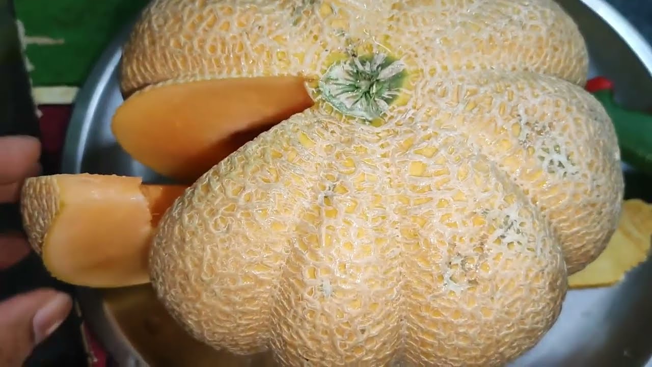 tarbuj juice Muskmelon 