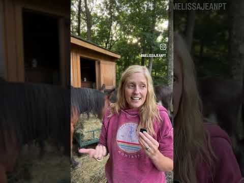 Equine movement may be one part of a therapeutic relationship...