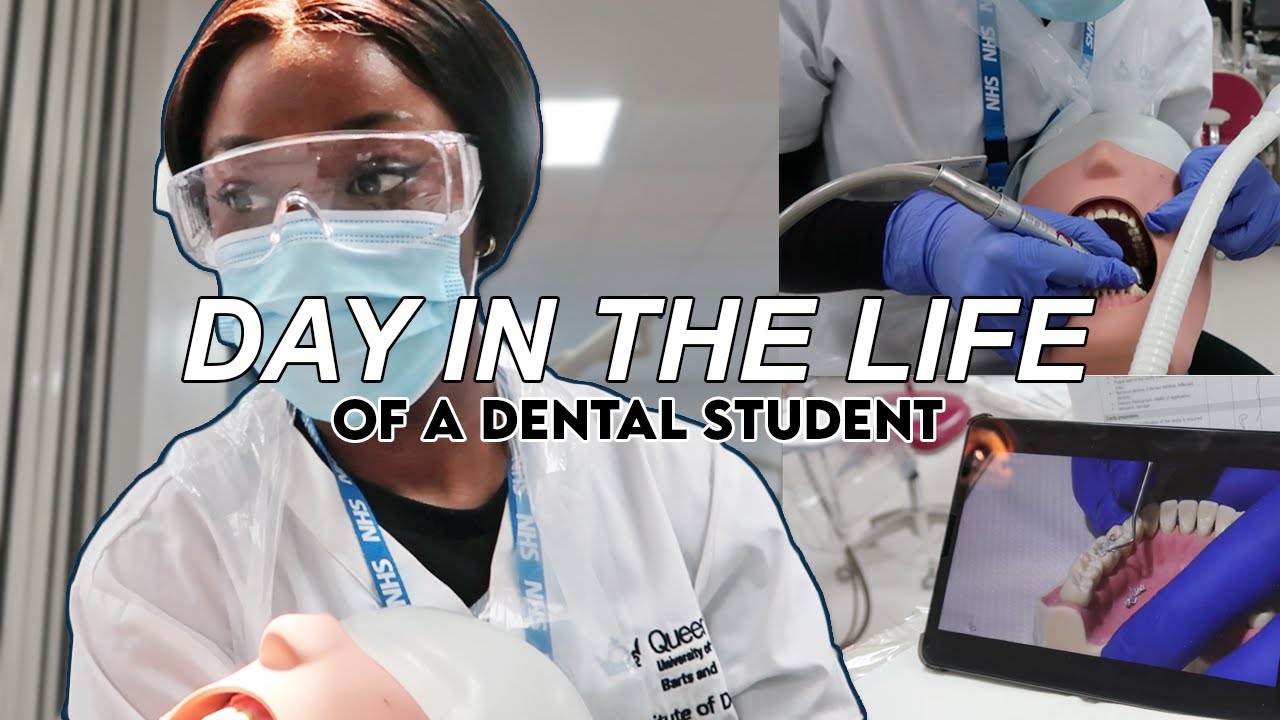 📚 DAY IN THE LIFE OF A DENTAL STUDENT | Dental School Vlog (LONDON ...
