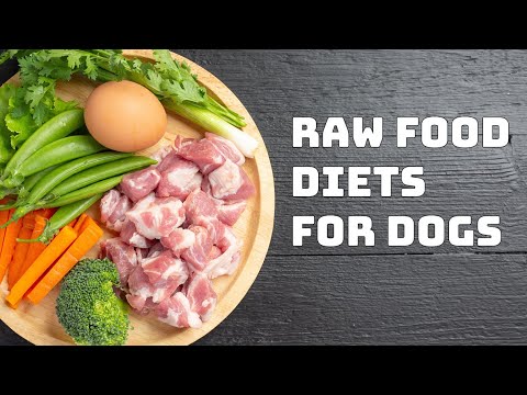 Video: 5 thành phần thức ăn cho thú cưng thông thường có thể gây hại cho chó của bạn