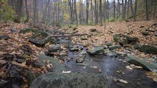 Davis Creek - sounds of Nature - 4k