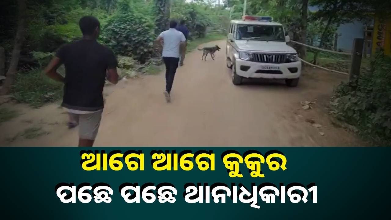 ବ୍ୟକ୍ତିଙ୍କ ଘରେ କଳାକନା ବୁଲାଇଲେ ଦୁର୍ବୁତ୍ତ, ପୋଲିସ ନେଲେ ସନ୍ଧାନୀ କୁକୁର ସାହାଯ୍ୟ || Knews Odisha