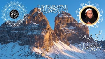 #سورة_النمل | #Surah_al_naml