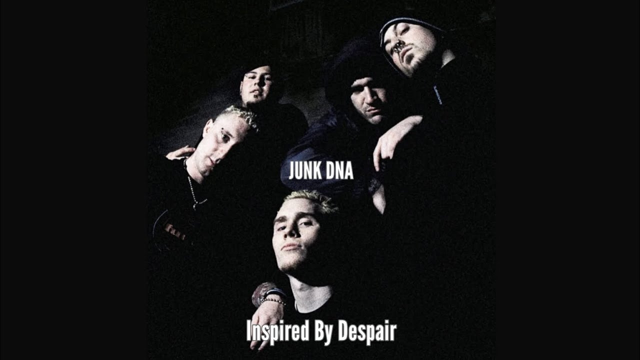 JUNK DNA (Inspired By Despair) 2003