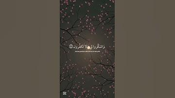 فاذكروني اذكركم واشكروا لي ولا تكفرون ايه 152 سورةالبقره الشيخ اسلام صبحي