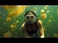 Ginger Zee Travels to Palau's Jellyfish Lake