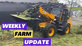 Weekly farm update - On the clamp for grass silage, courgette planting , fodder beet drilling.