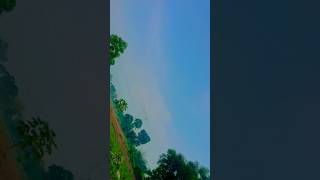 Deewani Mai Deewaniyoutubeshorts viralshort viral viral