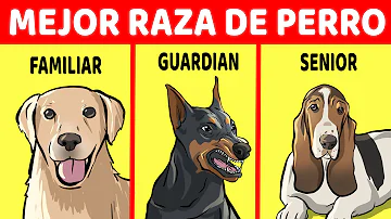 ¿Cuál es la raza de perro preferida?