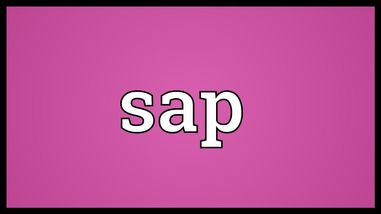 Sap Meaning YouTube Sap Meaning YouTube