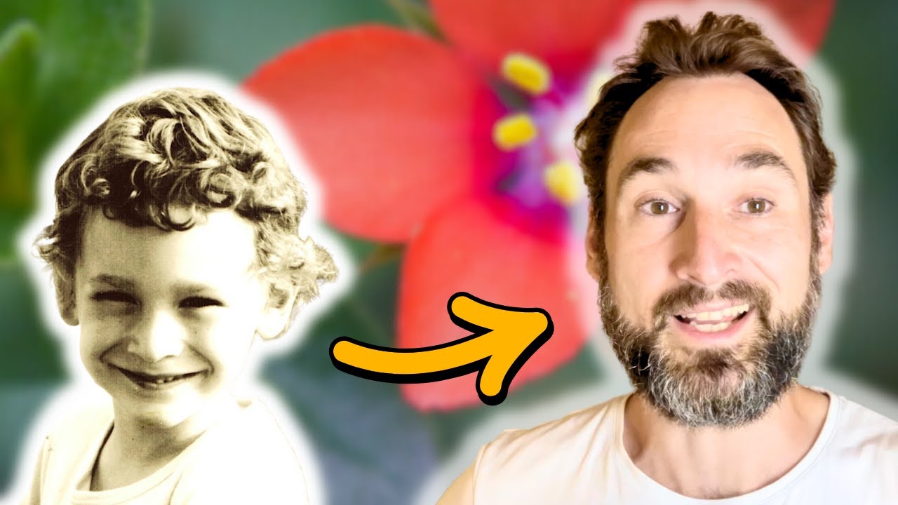 Wie die Spagyrik mein Leben verändert hat (sehr persönlich!)