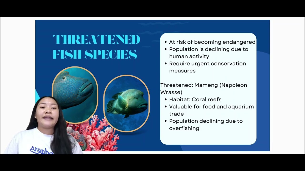 SPECIES OF FISH IN THE PHILIPPINES | TLE 8