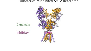Super-Chilled Brain Cell Molecules Reveal How Epilepsy Drug Works