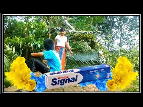 සිග්නල්-Signal.