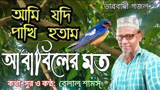 আমি যদি পাখি হতাম আবাবিলের মত |Ami Jodi Pakhi Hotam Ababiler Moto | ভাববাদীগজলghazal belalshams