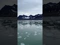 Spitsbergen 2025 lipiec, lodowiec, kry