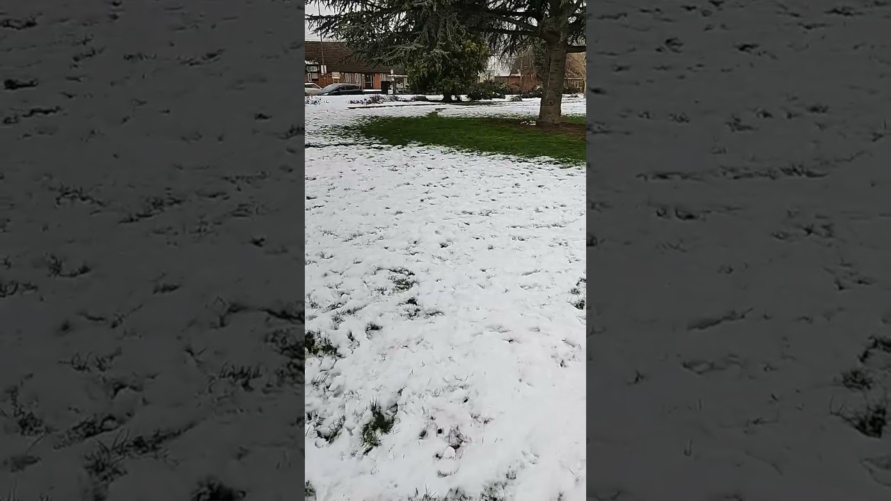 Walk In Bancroft Park With 