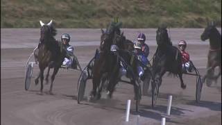 Vidéo de la course PMU PRIX DOMINIK LOCQUENEUX