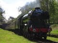 SOLE SLIP *SPECIAL* - Flying Scotsman