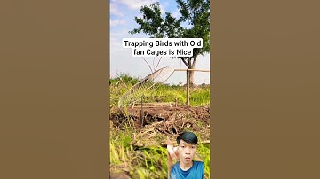 Cara Pikat Burung Cendet Pake Tutup Kipas Angin Bekas😱‼️ #shorts