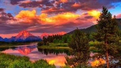 سورة فاطر ، القارئ ماهر المعيقلي (نصف الحزب 44)