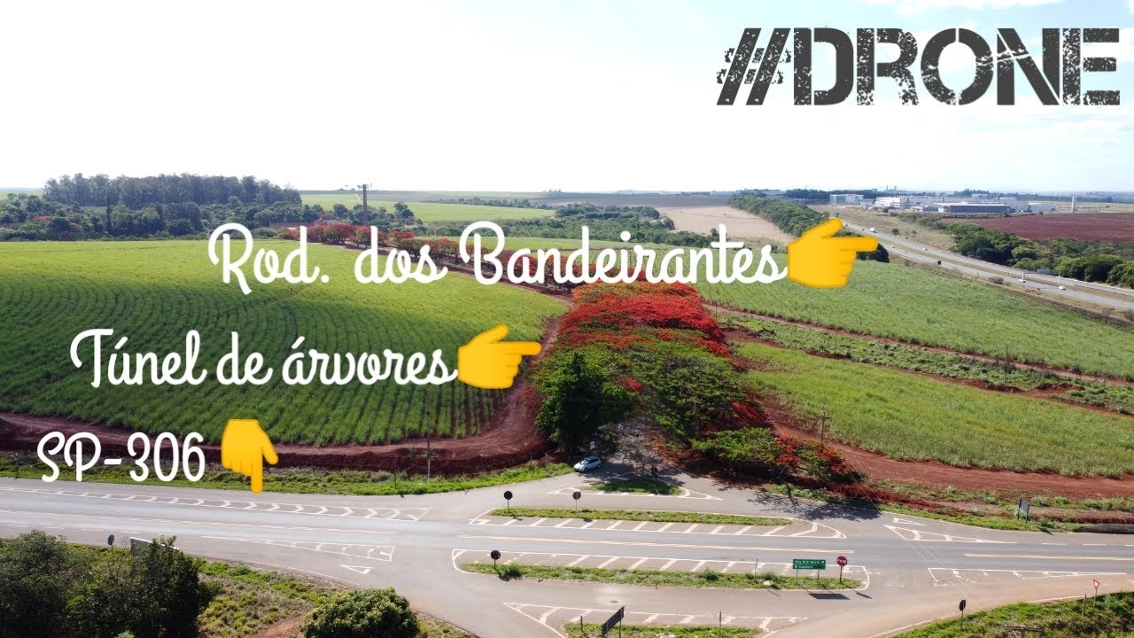 RODOVIA DOS BANDEIRANTES(SP348)/SP306/TÚNEL DE ÁRVORES -SBO