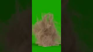 Sand Man Green Screen