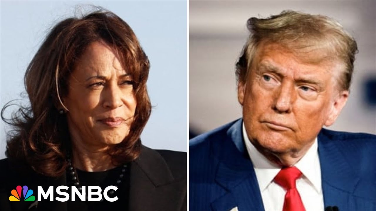 Kamala Harris speaks to ‘hopes and aspirations’ of Americans, Trump plays on fears: Capehart