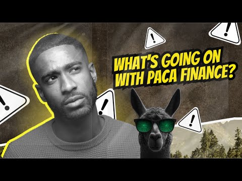 Why is Paca Finance Paused Again? #pacafinance #defi Crypto #cryptocurrency #passiveincome #staking