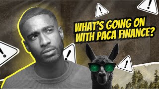 Why is Paca Finance Paused Again? #pacafinance #defi Crypto #cryptocurrency #passiveincome #staking