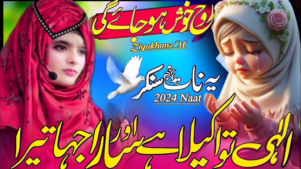 Ilahi Tu Akela Hai Magar Sara Jahan Tera  ||  Emotional Kalam || Heart Touching Kalam || ZiyuKhan2M