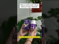 Solusi Alami Atasi Keluhan Bau Mulut