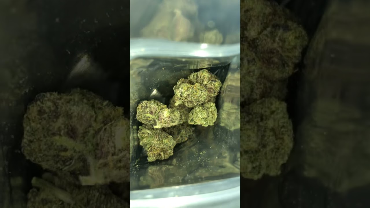 Jelly Donuts 🍩 Strain Review