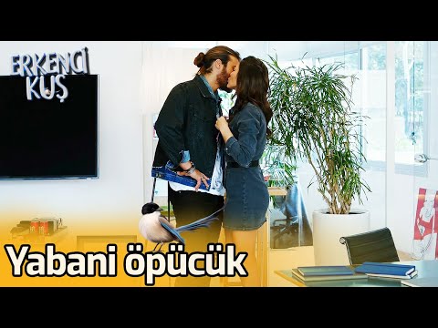 Yabani Öpücük💋 | Erkenci Kuş