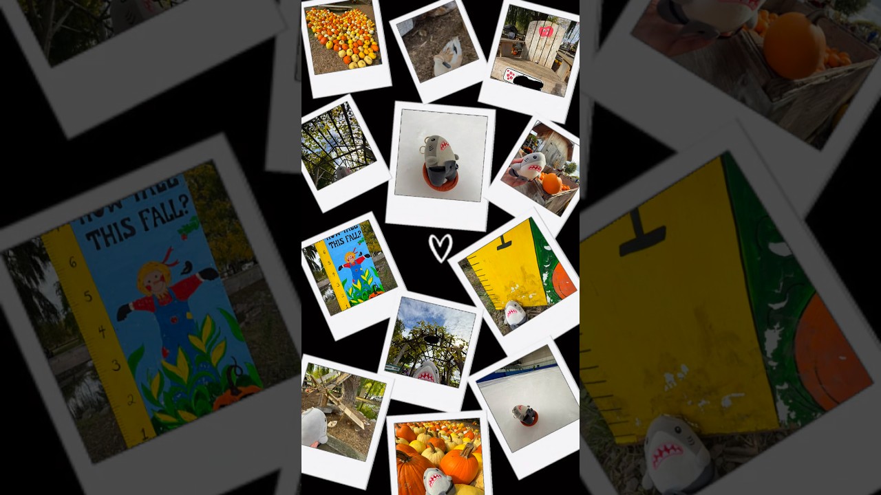 October montage so far!!! 