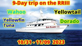 9-Day Trip Aboard the Red Rooster 3! Nomad Tackle, Seagaur, Hayabusa, Catchy Tackle Sponsored