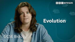 What is Evolution by Natural Selection | GCSE Biology