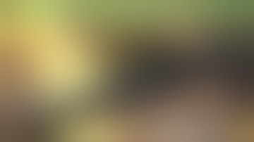 DYNAVAP 2019 THE “M” Review UK.