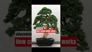 How carbon dating works #shorts