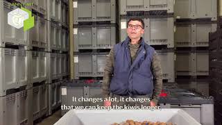 Kiwi storage in CA bins: testimony of Eric Avi